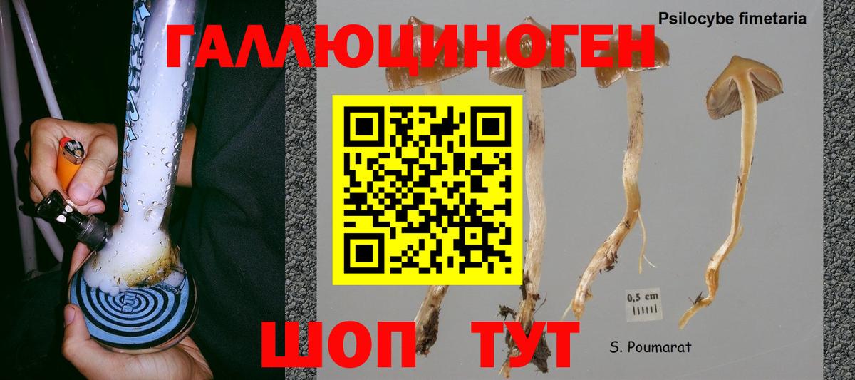 Бузулук  Галлюциногенные грибы Cubensis  что такое   Вход с VPN 