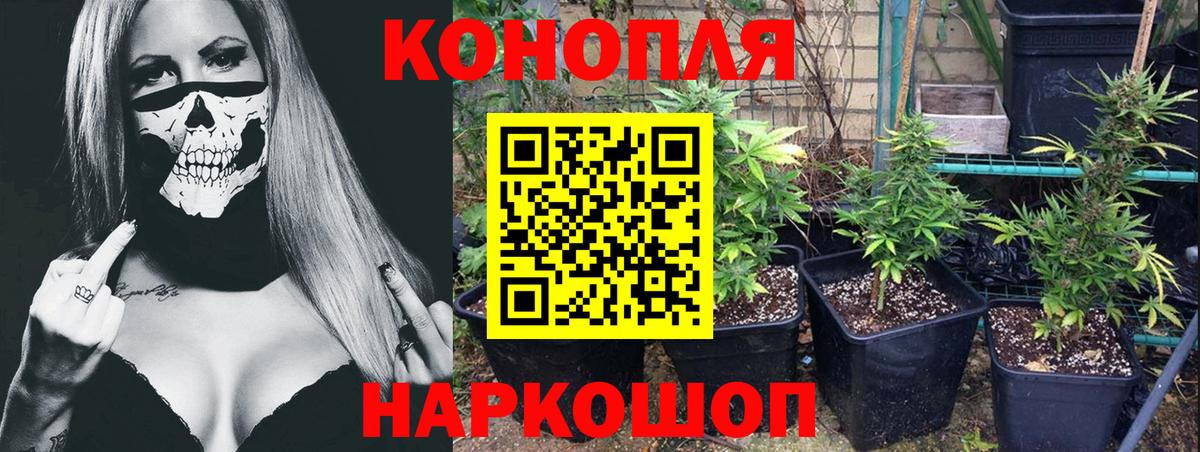 Конопля ГИДРОПОН Бузулук